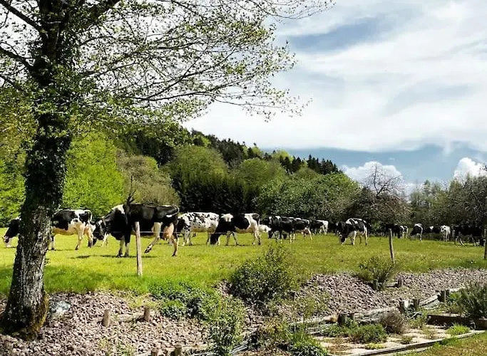 Villa La Maison Des Vosges Nature & Pool
