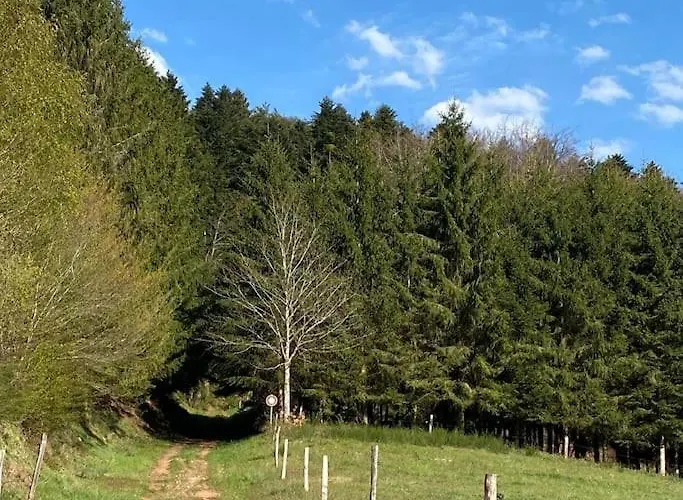 La Maison Des Vosges Nature & Pool *